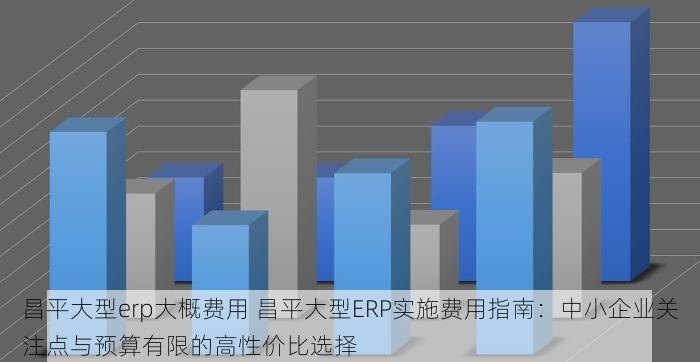 昌平大型erp大概费用 昌平大型ERP实施费用指南：中小企业关注点与预算有限的高性价比选择