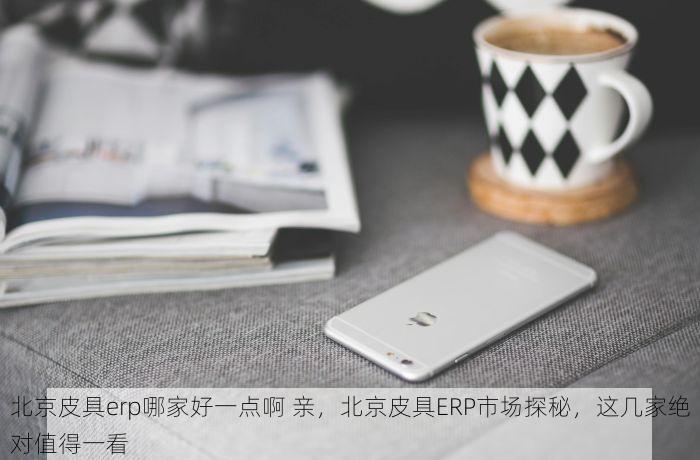 北京皮具erp哪家好一点啊 亲，北京皮具ERP市场探秘，这几家绝对值得一看