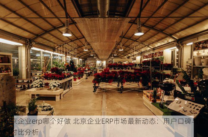 北京企业erp哪个好做 北京企业ERP市场最新动态：用户口碑与功能对比分析
