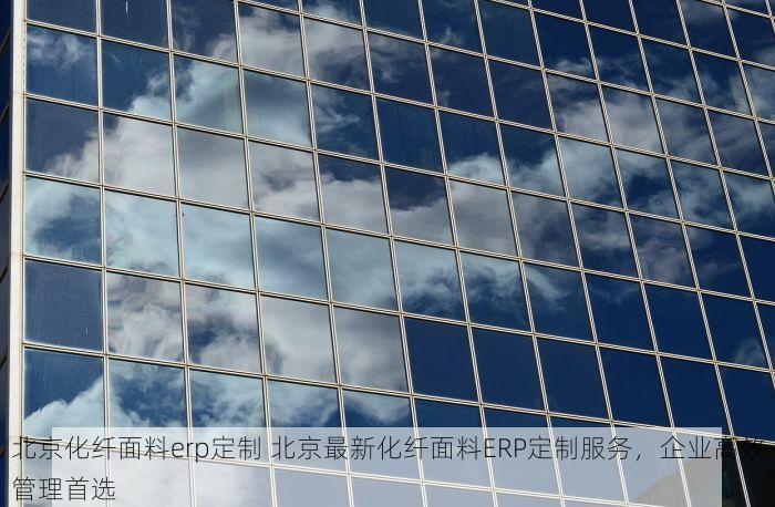 北京化纤面料erp定制 北京最新化纤面料ERP定制服务，企业高效管理首选