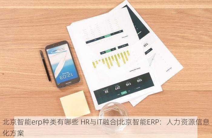 北京智能erp种类有哪些 HR与IT融合|北京智能ERP：人力资源信息化方案