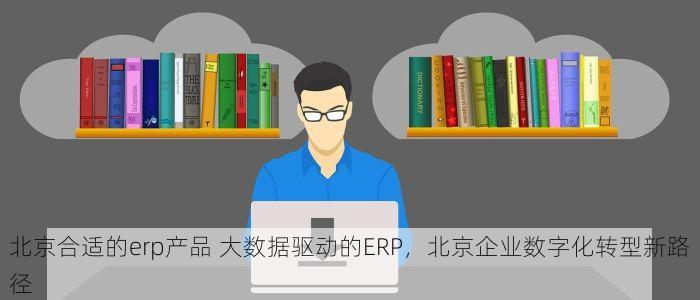 北京合适的erp产品 大数据驱动的ERP，北京企业数字化转型新路径