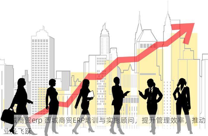 西城商贸erp 西城商贸ERP培训与实施顾问，提升管理效率，推动业务飞跃