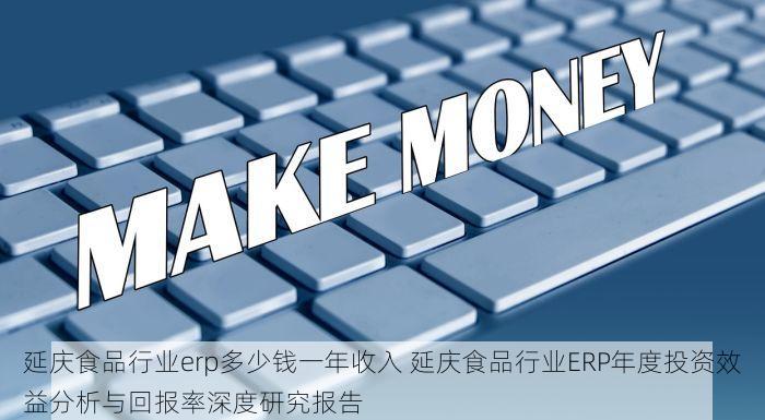 延庆食品行业erp多少钱一年收入 延庆食品行业ERP年度投资效益分析与回报率深度研究报告