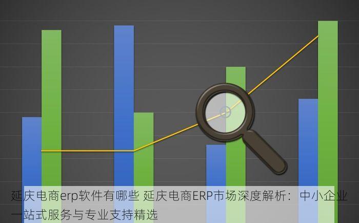 延庆电商erp软件有哪些 延庆电商ERP市场深度解析：中小企业一站式服务与专业支持精选
