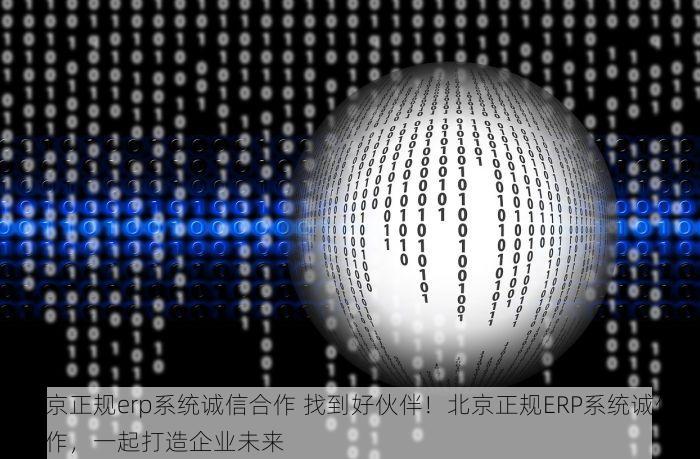 北京正规erp系统诚信合作 找到好伙伴！北京正规ERP系统诚信合作，一起打造企业未来