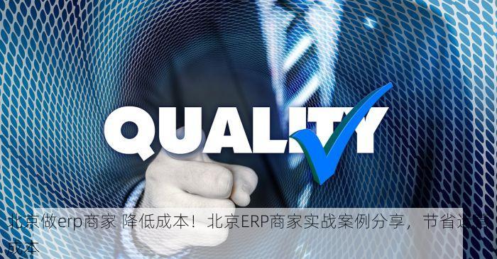 北京做erp商家 降低成本！北京ERP商家实战案例分享，节省运营成本