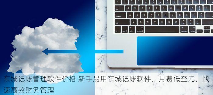 东城记账管理软件价格 新手易用东城记账软件，月费低至元，快速高效财务管理