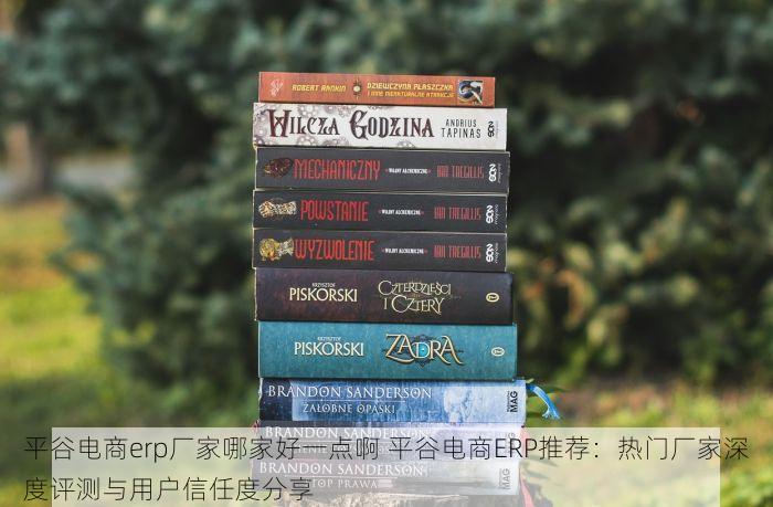 北京的发票北京系统里没有别急！先看完这个再说！
