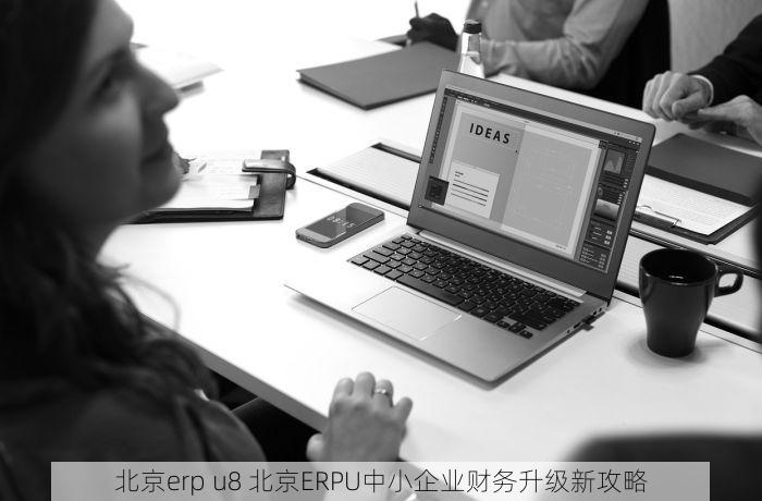 北京erp u8 北京ERPU中小企业财务升级新攻略