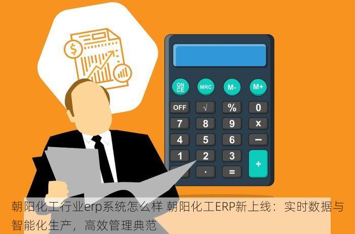 朝阳化工行业erp系统怎么样 朝阳化工ERP新上线：实时数据与智能化生产，高效管理典范