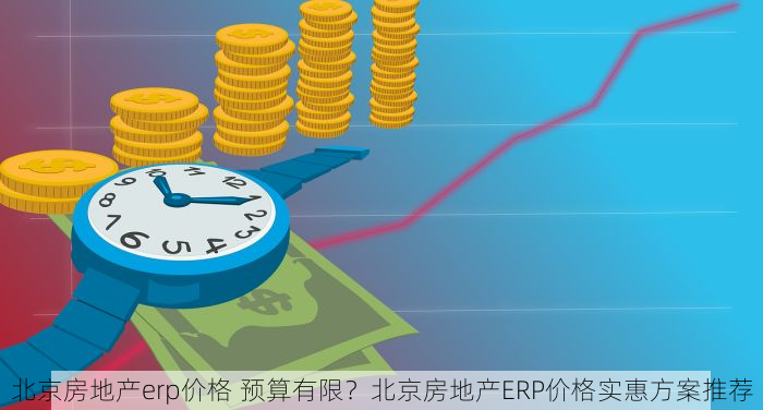 北京房地产erp价格 预算有限？北京房地产ERP价格实惠方案推荐