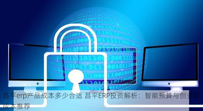 昌平erp产品成本多少合适 昌平ERP投资解析：智能预算与创业者成本推荐
