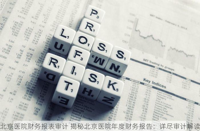北京医院财务报表审计 揭秘北京医院年度财务报告：详尽审计解读