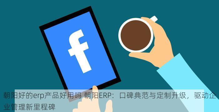 石景山收银erp系统怎么样 石景山收银ERP系统深度解析：高效管理与商家必选优势