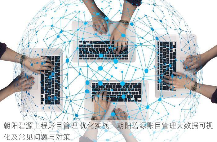 朝阳碧源工程账目管理 优化实战：朝阳碧源账目管理大数据可视化及常见问题与对策