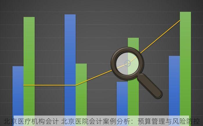 北京医疗机构会计 北京医院会计案例分析：预算管理与风险防控