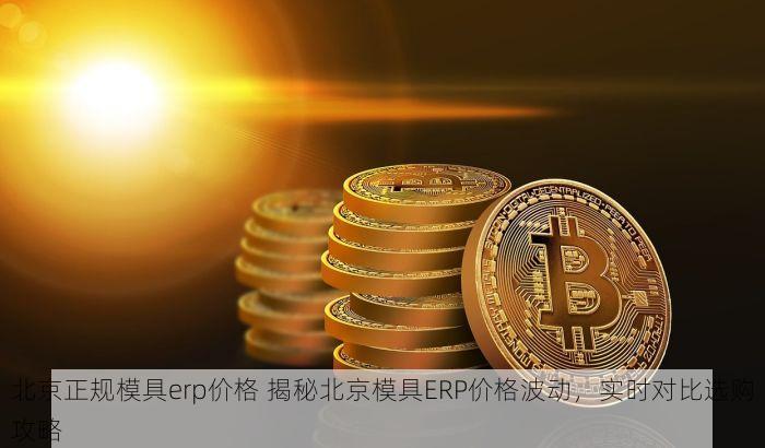 北京正规模具erp价格 揭秘北京模具ERP价格波动，实时对比选购攻略