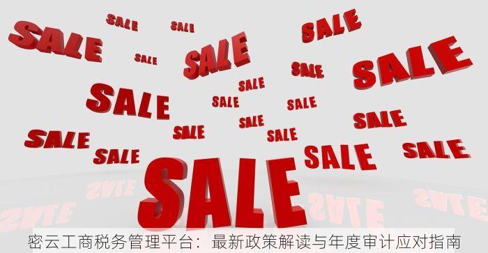 密云工商税务管理平台：最新政策解读与年度审计应对指南
