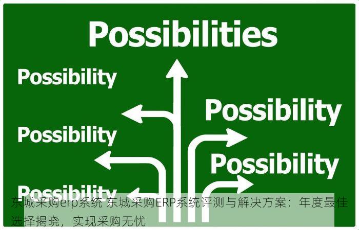 东城采购erp系统 东城采购ERP系统评测与解决方案：年度最佳选择揭晓，实现采购无忧
