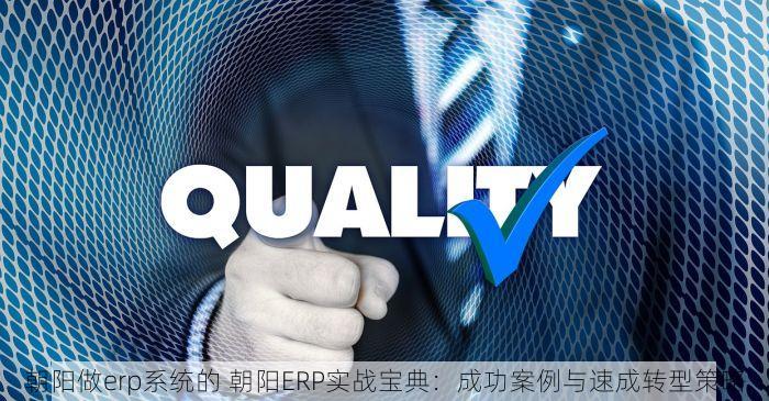 朝阳做erp系统的 朝阳ERP实战宝典：成功案例与速成转型策略