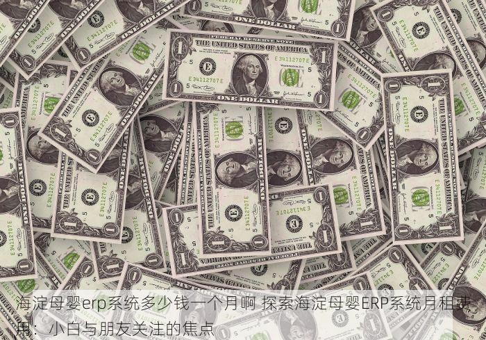 海淀母婴erp系统多少钱一个月啊 探索海淀母婴ERP系统月租费用：小白与朋友关注的焦点