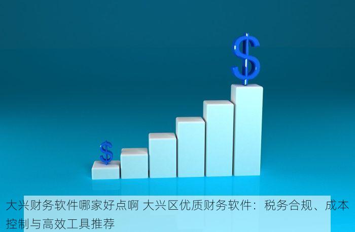 大兴财务软件哪家好点啊 大兴区优质财务软件：税务合规、成本控制与高效工具推荐