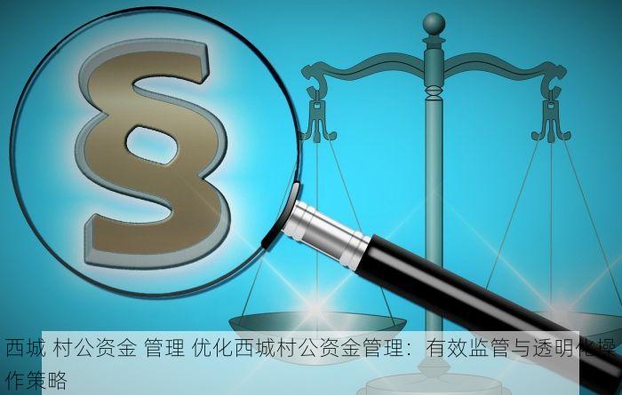 西城 村公资金 管理 优化西城村公资金管理：有效监管与透明化操作策略