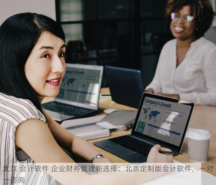北京 会计软件 企业财务管理新选择：北京定制版会计软件，一对一咨询
