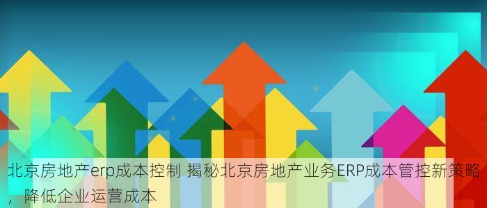 北京房地产erp成本控制 揭秘北京房地产业务ERP成本管控新策略，降低企业运营成本