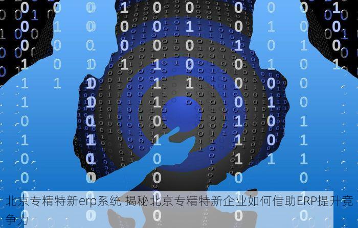 北京专精特新erp系统 揭秘北京专精特新企业如何借助ERP提升竞争力