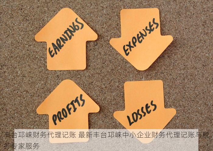 丰台邛崃财务代理记账 最新丰台邛崃中小企业财务代理记账与税务专家服务