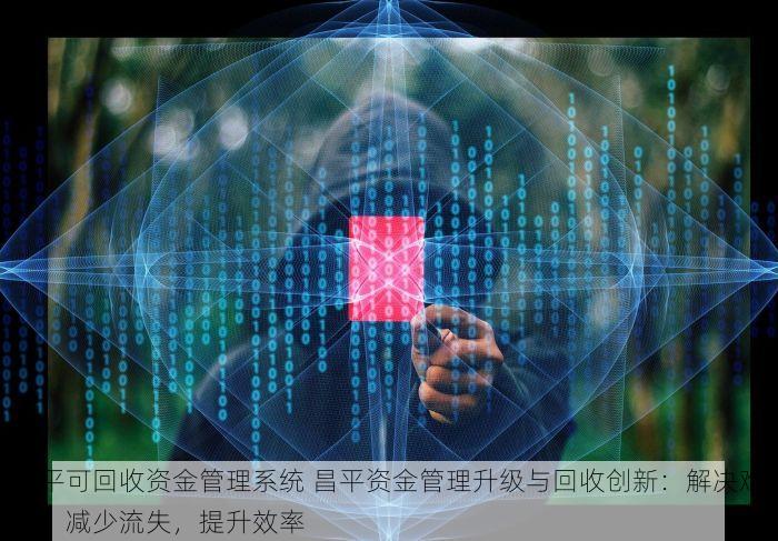 昌平可回收资金管理系统 昌平资金管理升级与回收创新：解决难题，减少流失，提升效率