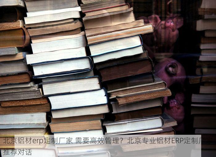 北京铝材erp定制厂家 需要高效管理？北京专业铝材ERP定制厂家推荐对话