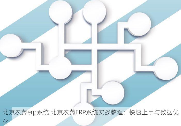 北京农药erp系统 北京农药ERP系统实战教程：快速上手与数据优化