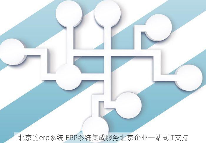 北京的erp系统 ERP系统集成服务北京企业一站式IT支持