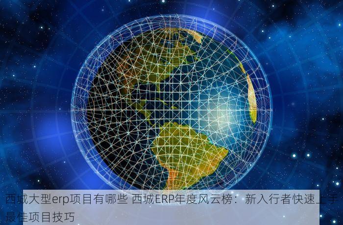 西城大型erp项目有哪些 西城ERP年度风云榜：新入行者快速上手最佳项目技巧
