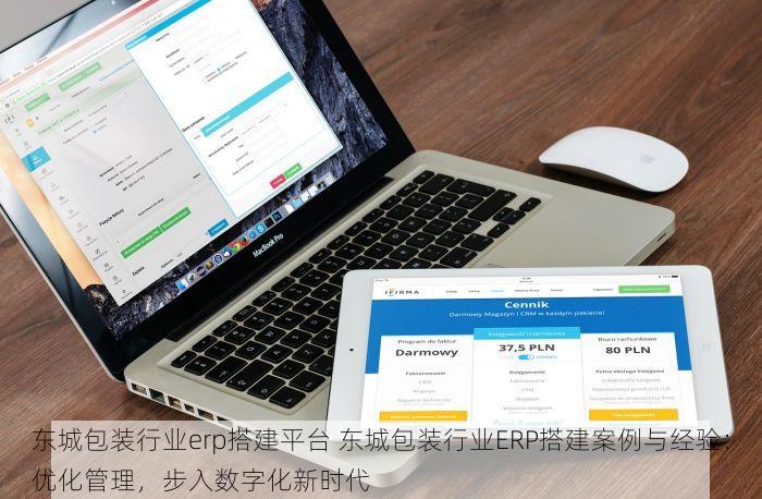 东城包装行业erp搭建平台 东城包装行业ERP搭建案例与经验：优化管理，步入数字化新时代