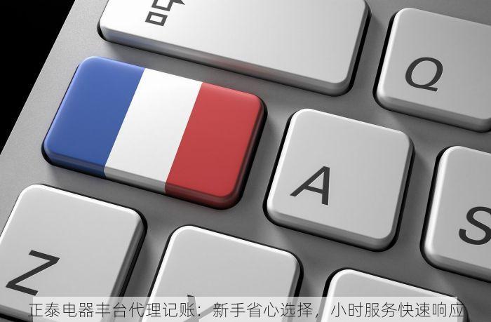 正泰电器丰台代理记账：新手省心选择，小时服务快速响应
