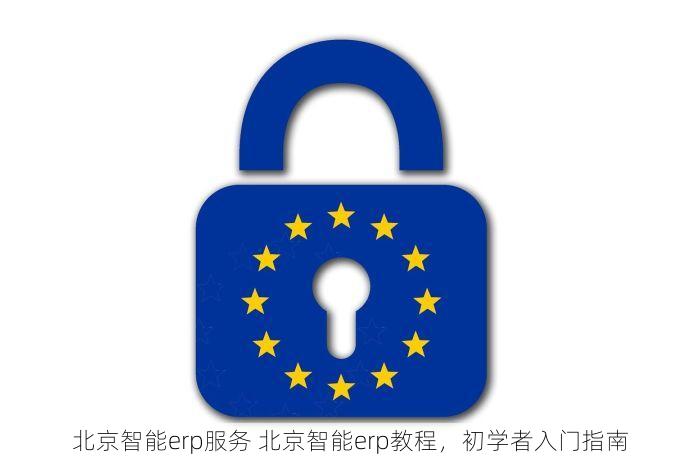 北京智能erp服务 北京智能erp教程，初学者入门指南