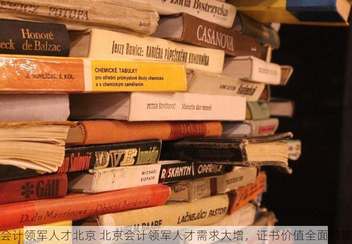 北京发票北京验票系统查询 北京发票与验票系统查询指南：避坑技巧与高效使用方法