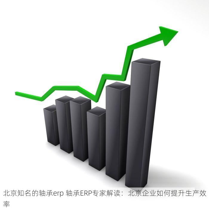 北京知名的轴承erp 轴承ERP专家解读：北京企业如何提升生产效率