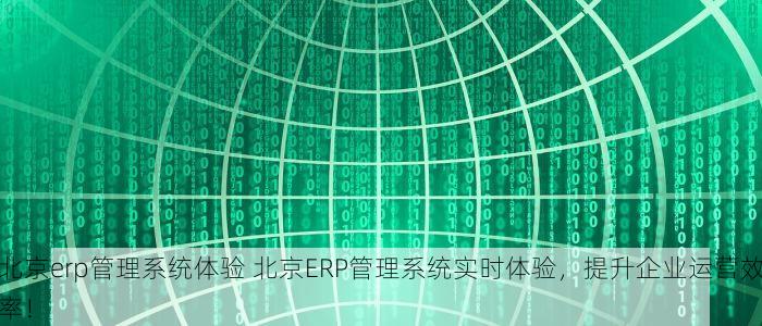 北京erp管理系统体验 北京ERP管理系统实时体验，提升企业运营效率！