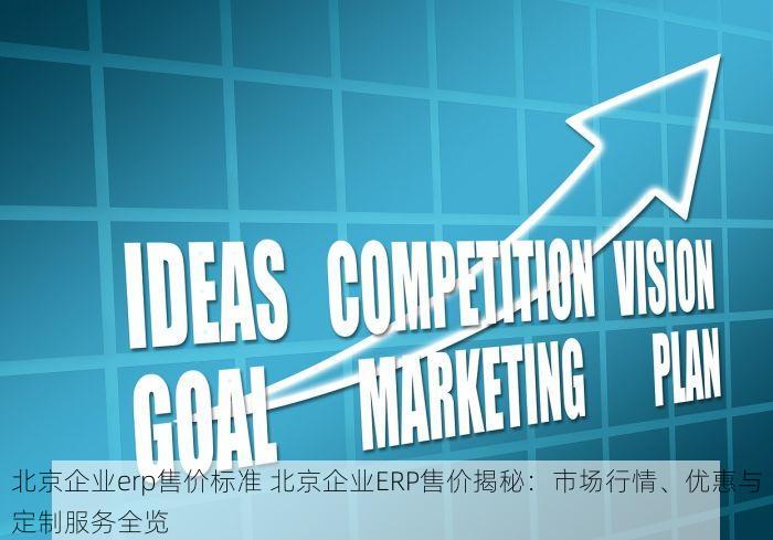 北京企业erp售价标准 北京企业ERP售价揭秘：市场行情、优惠与定制服务全览