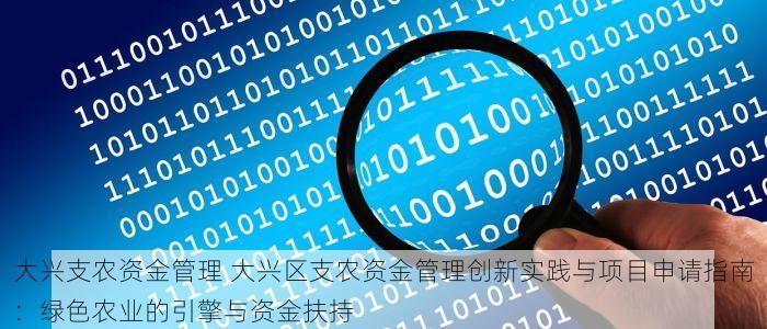大兴支农资金管理 大兴区支农资金管理创新实践与项目申请指南：绿色农业的引擎与资金扶持