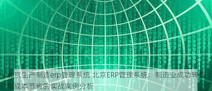 北京生产制造erp管理系统 北京ERP管理系统：制造业成功转型与成本节省的实战案例分析