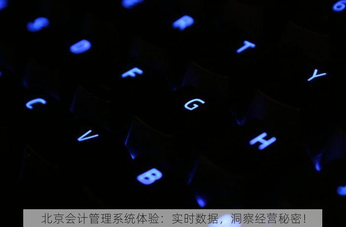 北京会计管理系统体验：实时数据，洞察经营秘密！