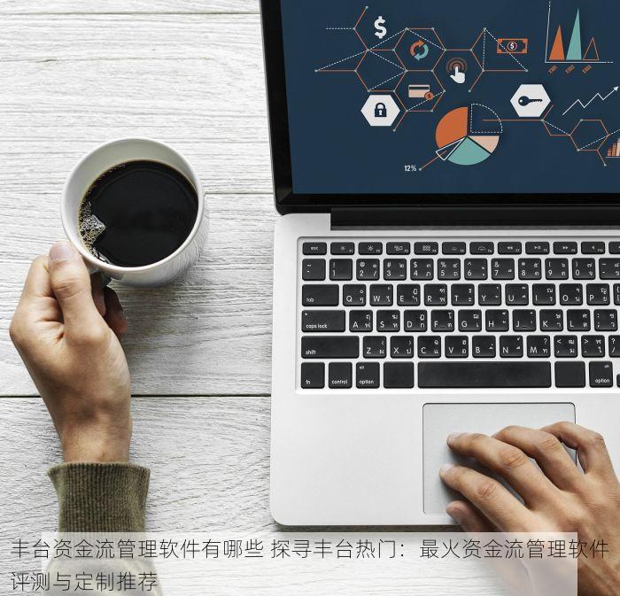 丰台资金流管理软件有哪些 探寻丰台热门：最火资金流管理软件评测与定制推荐