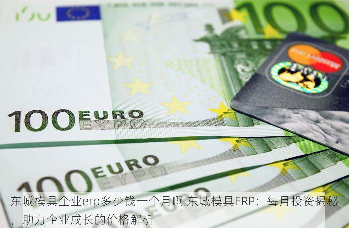 东城模具企业erp多少钱一个月啊 东城模具ERP：每月投资揭秘，助力企业成长的价格解析