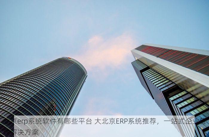北京erp系统软件有哪些平台 大北京ERP系统推荐，一站式企业管理解决方案